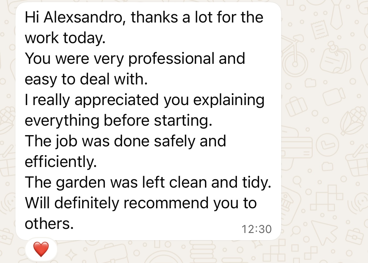 WhatsApp testimonial - Thanks a lot for the work today